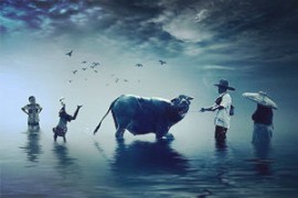 徐汇注销公司流程：创业者的终极指南